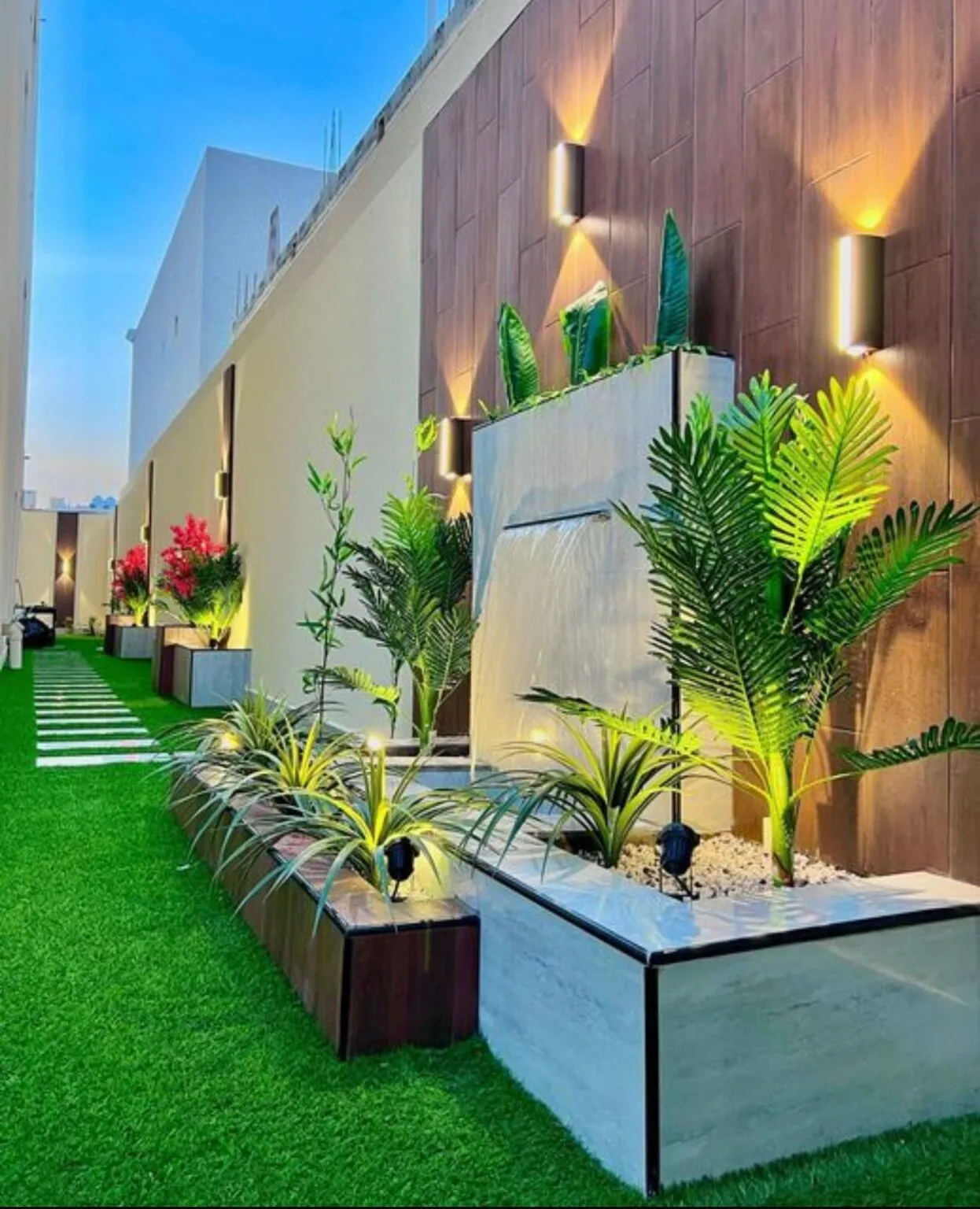 صورة المقال