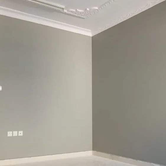 دهانات وديكورات عصرية وديكورات مرايا حديثة ومبتكرة لعام2026 